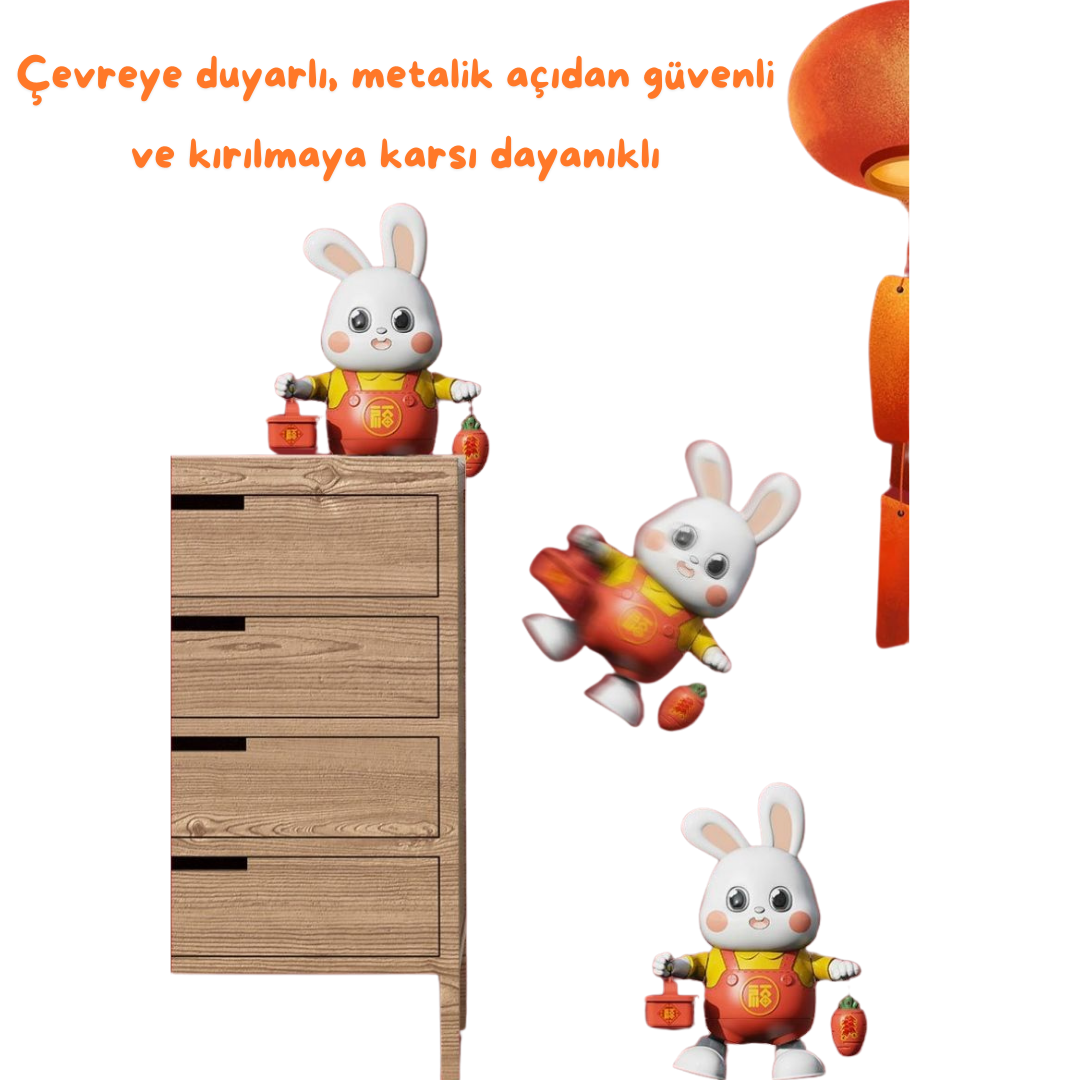 Dans Eden Tavşan Oyuncağı - LITTLE BABY
